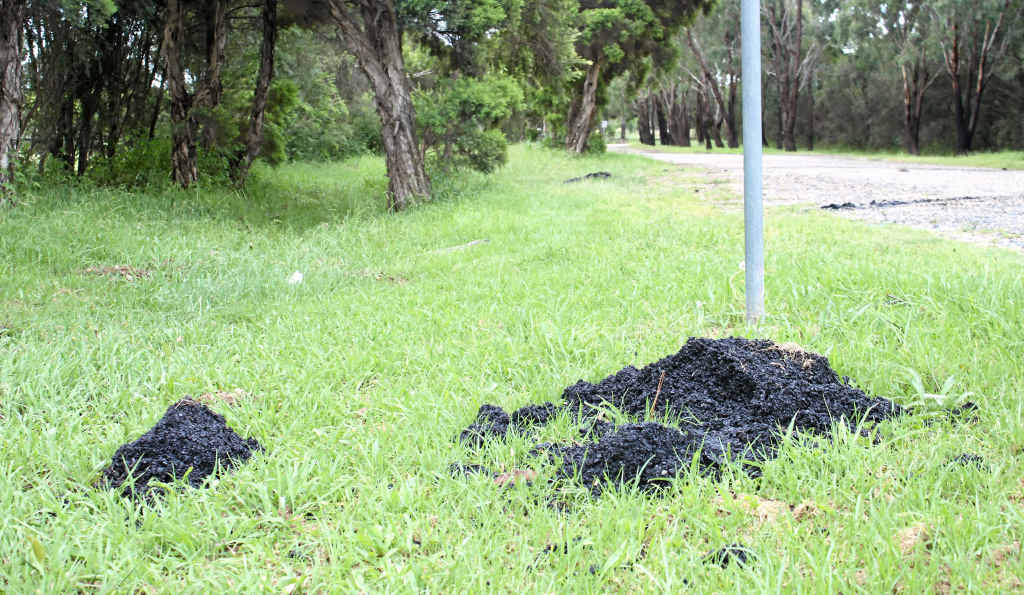 Road tar was left skirting the sides of Sawmill Rd. Road tar was left skirting the sides of Sawmill Rd.
